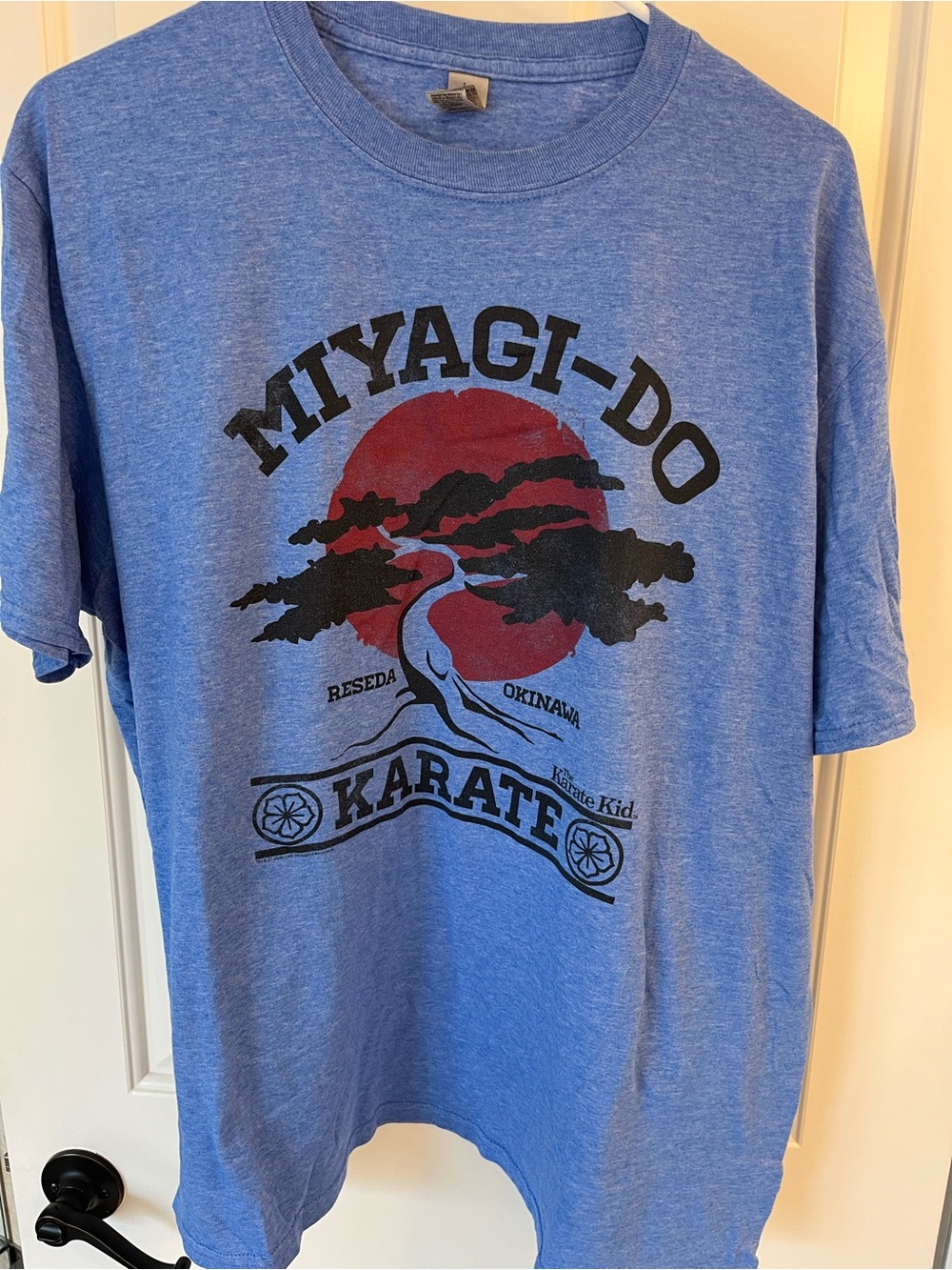 Mens Blue Miyagi-Do Karate Graphic Tee with Red Sun size xl